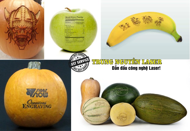 Khắc laze lên dưa hấu, bòng bưởi, trái dừa, bí đao, bí ngô giá rẻ tại Tp Hồ Chí Minh và Hà Nội