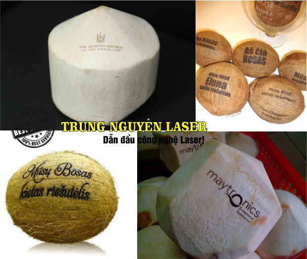 Khắc Chữ, Khắc tên, khắc thư pháp, khắc hoa văn, khắc logo lên trái cây hoa quả