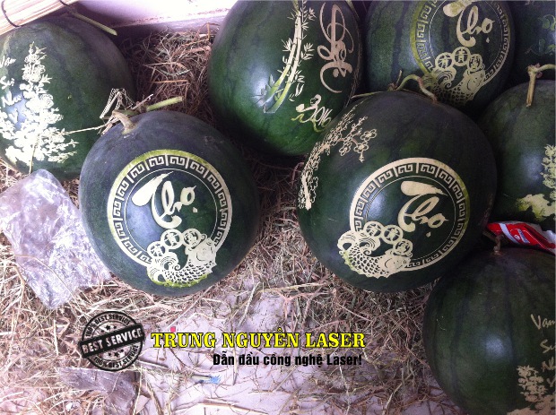 Khắc hoa văn, khắc chữ, khắc logo lên dưa hấu, khắc bòng bưởi, khắc dừa theo ý thích
